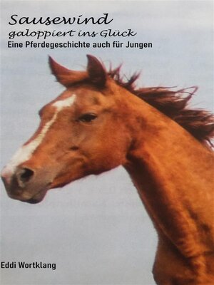 cover image of Sausewind galoppiert ins Glück